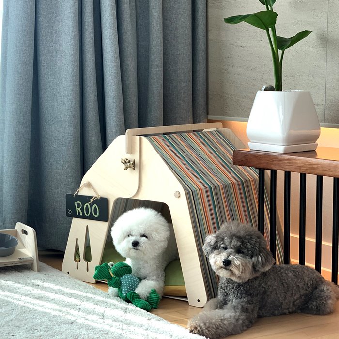 [오리지널 디자인]강아지집 고양이집 [다락-비비드] 칠판분필선물